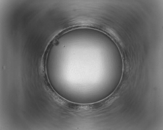 X0000070380883200606161341