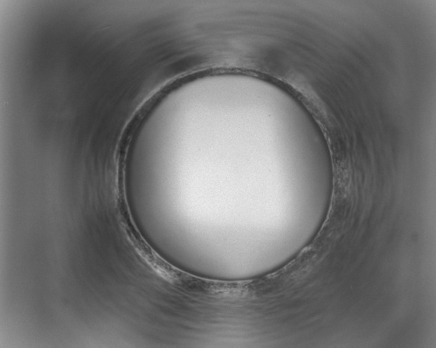 X0000070380886200606161341