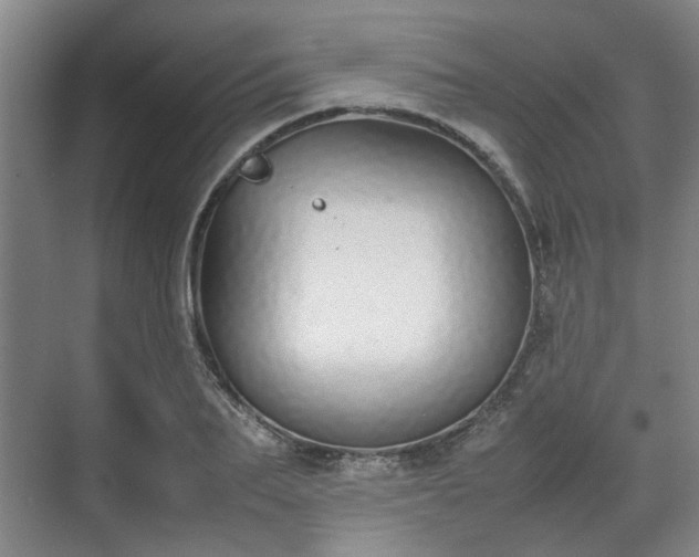 X0000070380887200606161341