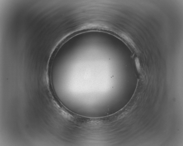 X0000070380888200606161341