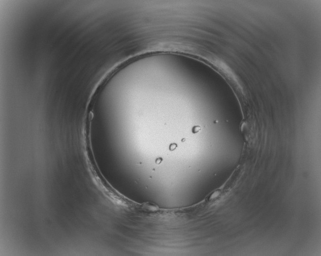 X0000070380896200606161341