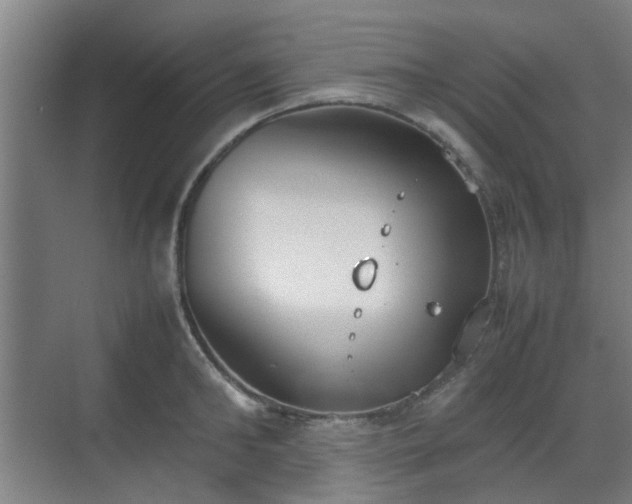 X0000070380902200606161341