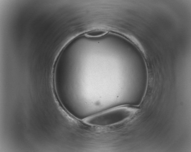 X0000070380903200606161341