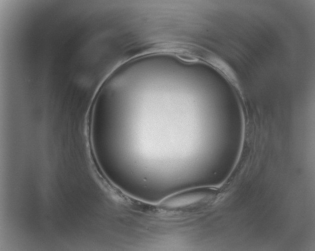 X0000070380907200606161341