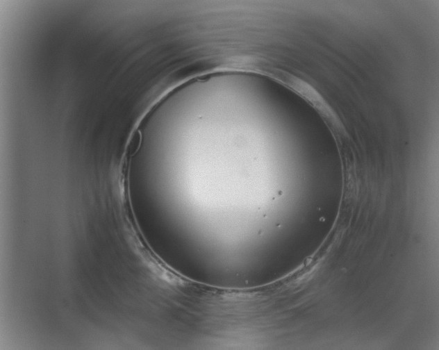 X0000070380908200606161341