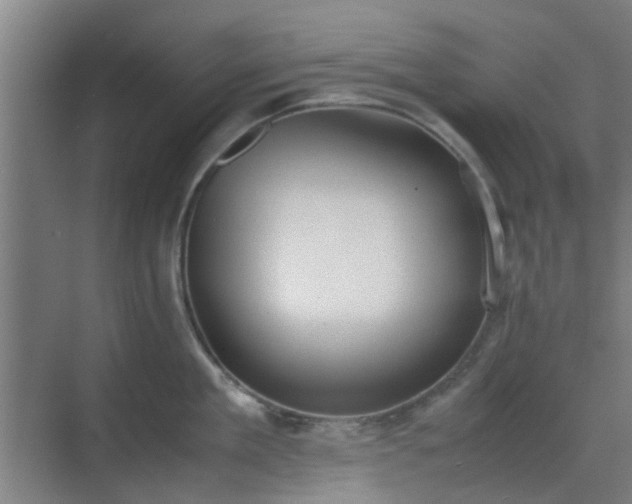 X0000070380909200606161341