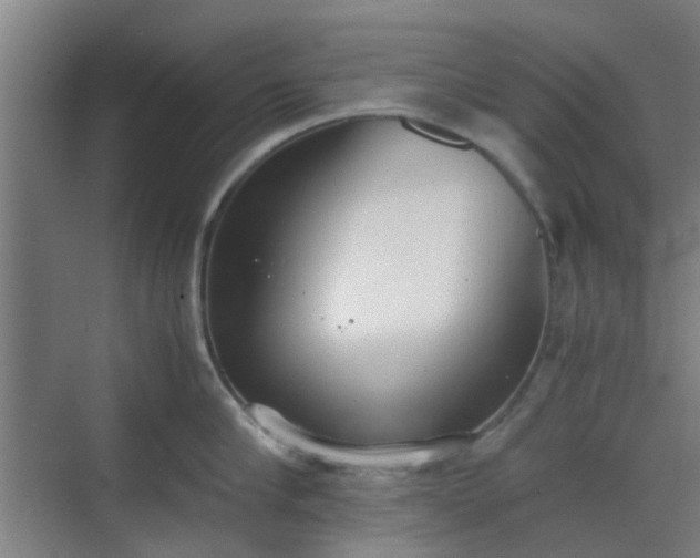 X0000070380910200606161341