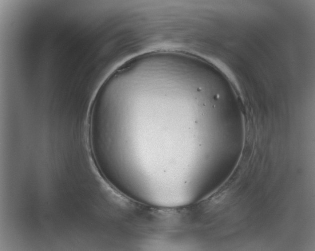 X0000070380911200606161340