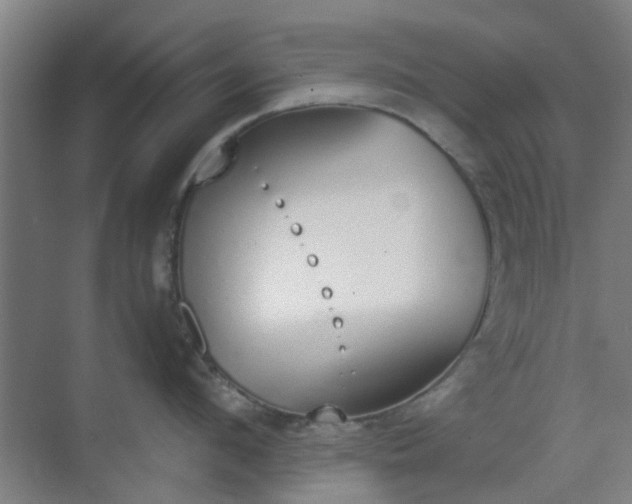 X0000070380912200606161340