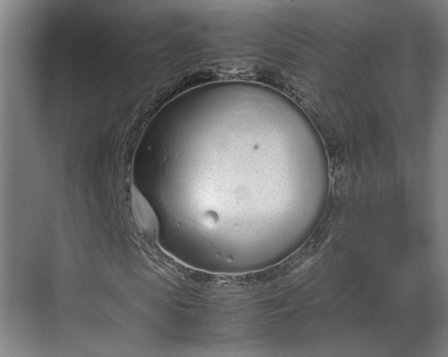 X0000070380913200606161340