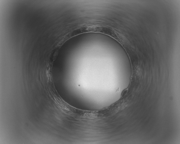 X0000070380914200606161340