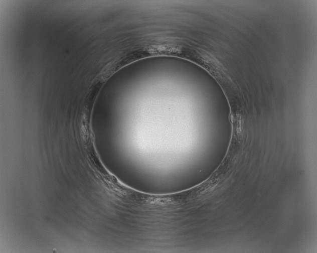 X0000070380915200606161340