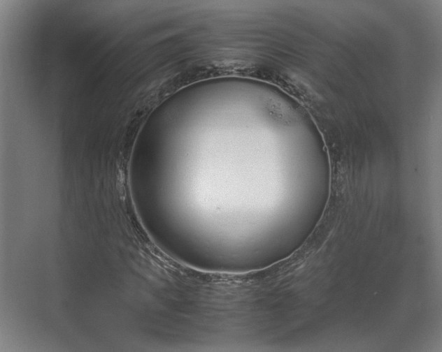 X0000070380917200606161340