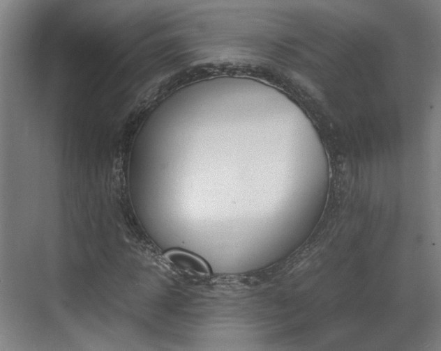 X0000070380918200606161340