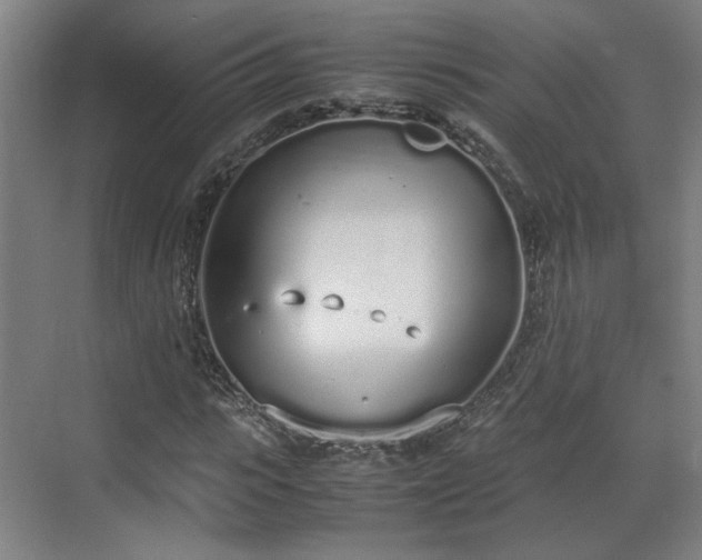 X0000070380919200606161340