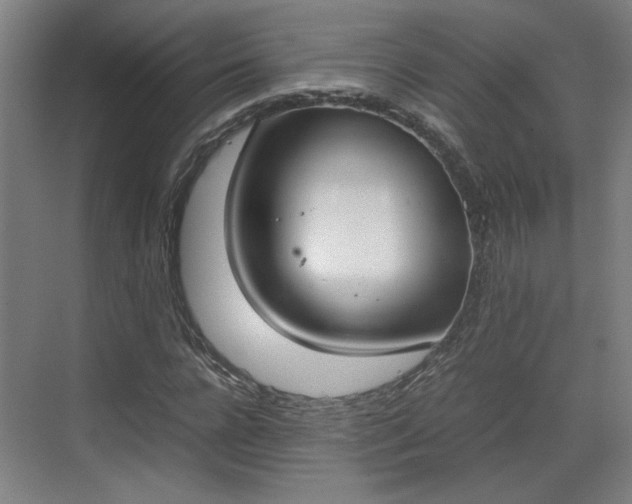 X0000070380920200606161340