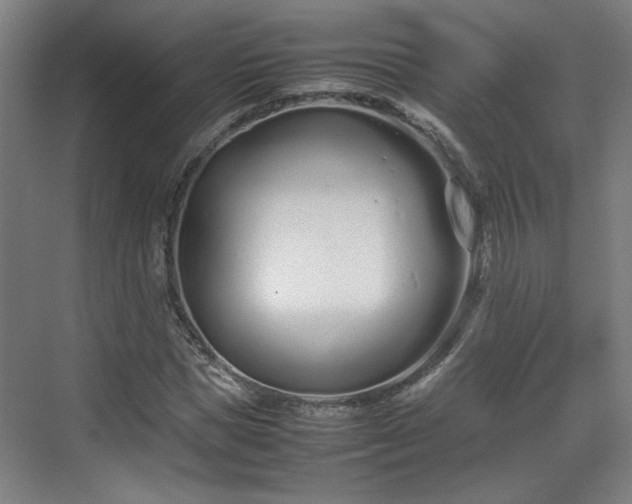 X0000070380921200606161340