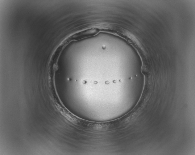 X0000070380923200606161340