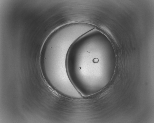 X0000070380924200606161340