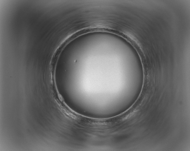 X0000070380925200606161340