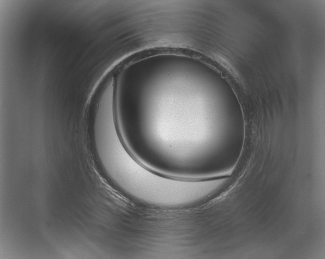 X0000070380926200606161340