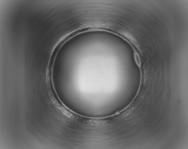 X0000070380928200606161340