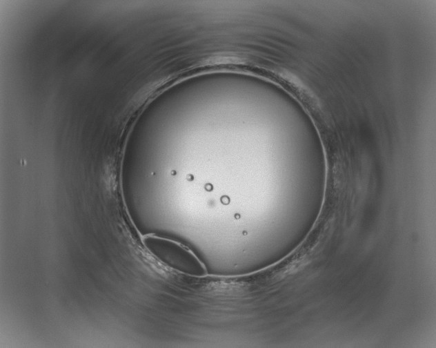 X0000070380929200606161340