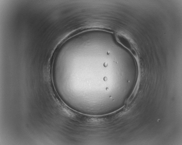 X0000070380933200606161340