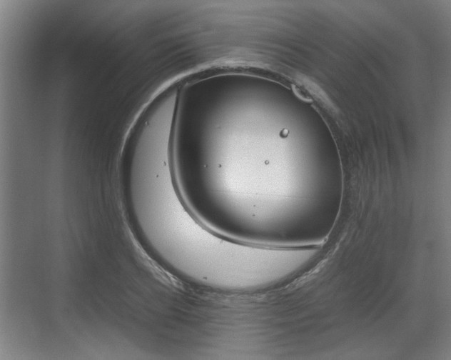 X0000070380934200606161340