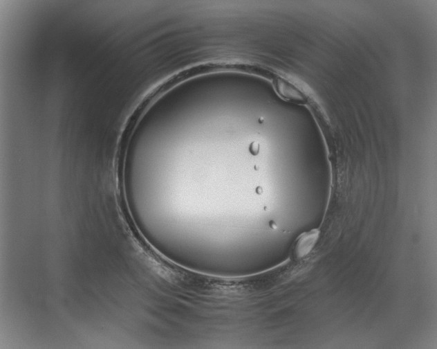 X0000070380935200606161340