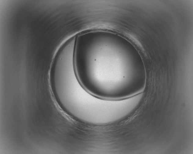 X0000070380936200606161340