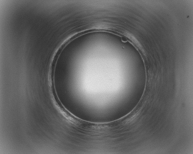 X0000070380939200606161340