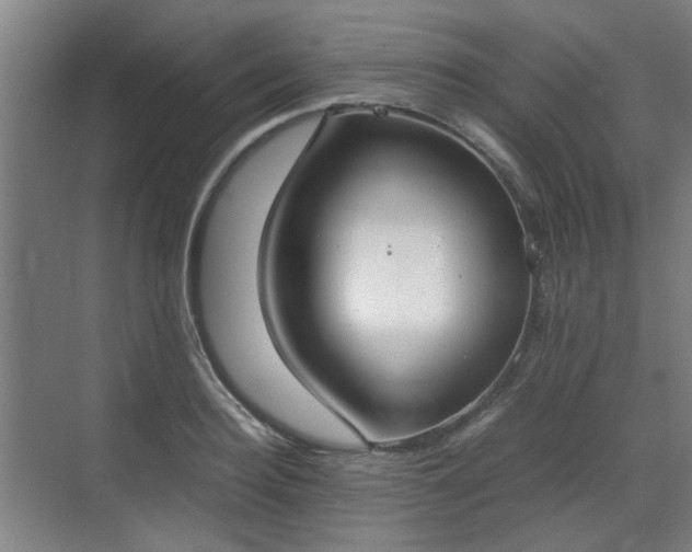 X0000070380940200606161340