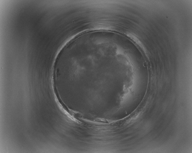 X0000070380941200606161340