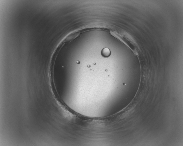 X0000070380942200606161340