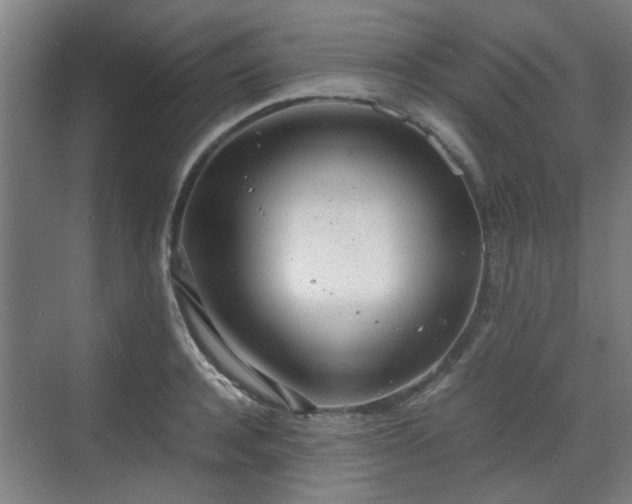 X0000070380944200606161340