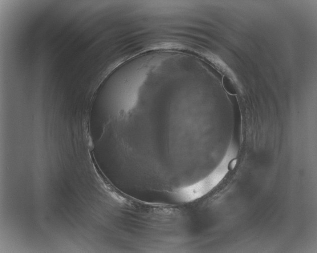 X0000070380945200606161340