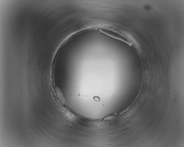 X0000070380948200606161340