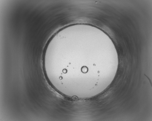 X0000070380950200606161340