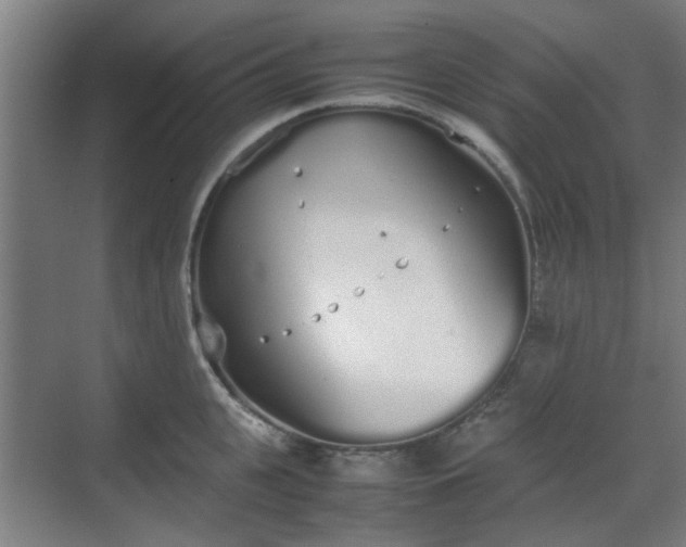 X0000070380951200606161340