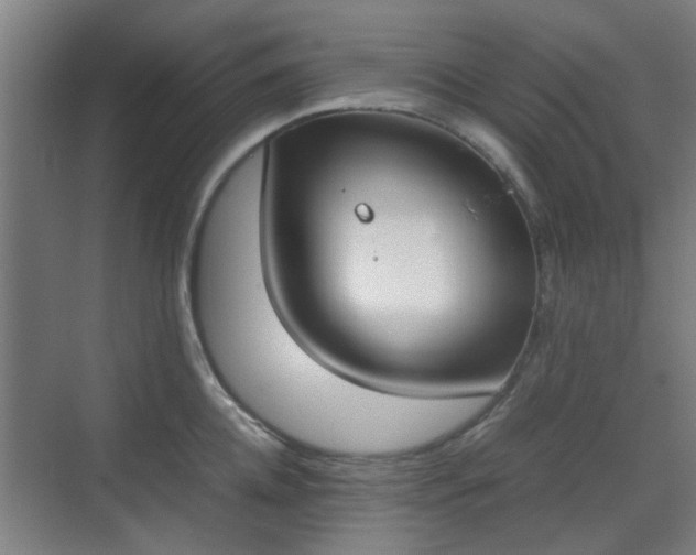 X0000070380952200606161340