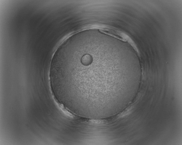 X0000070380954200606161340