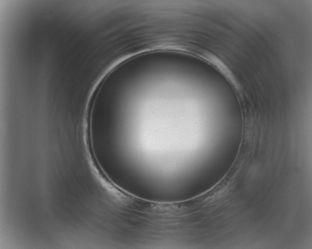 X0000070380955200606161340