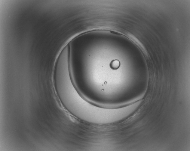 X0000070380956200606161340