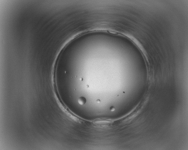 X0000070380957200606161340