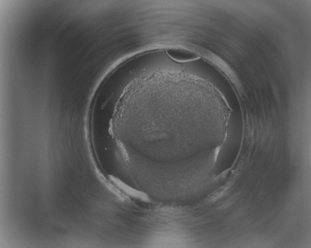 X0000070380958200606161340