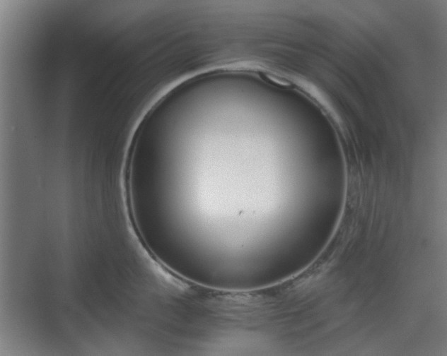 X0000070380959200606161340