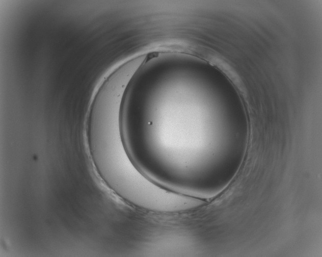 X0000070380960200606161340