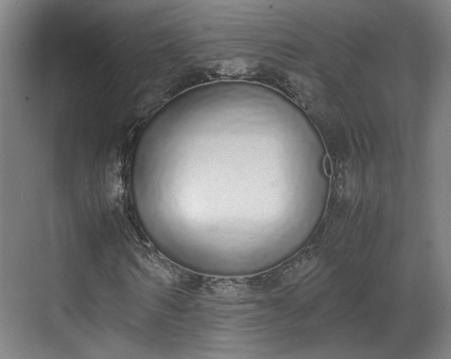 X0000070380962200606161340