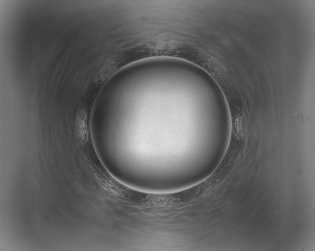 X0000070380963200606161340